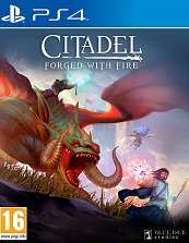 Citadel Forged with Fire for PS4 to rent