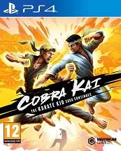 Cobra Kai The Karate Saga Continues for PS4 to rent