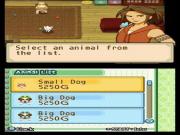 Harvest Moon The Tale Of Two Towns for NINTENDODS to buy