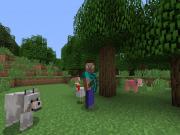 Minecraft for PS4 to buy