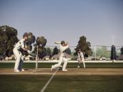 Don Bradman Cricket for PS4 to buy