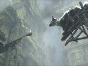 The Last Guardian for PS4 to buy