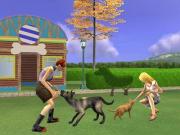 The Sims 2 Pets for NINTENDODS to buy