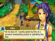 Story of Seasons 2 Trio of Towns for NINTENDO3DS to buy