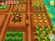 Story of Seasons 2 Trio of Towns for NINTENDO3DS to buy