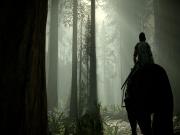 Shadow of the Colossus  for PS4 to buy
