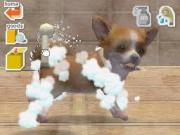 Nintendogs Labrador and Friends for NINTENDODS to buy
