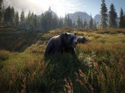 The Hunter Call of The Wild 2019 Edition for PS4 to buy