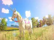 The Unicorn Princess for SWITCH to buy