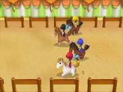 Story of Seasons Friends of Mineral Town for SWITCH to buy