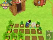 Harvest Moon One World for SWITCH to buy