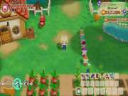 Story of Seasons Friends of Mineral Town for XBOXSERIESX to buy