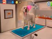 Animal Hospital for PS4 to buy