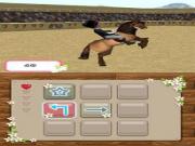 Mary Kings Riding School for NINTENDODS to buy