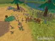 Sim Animals (SimAnimals) for NINTENDOWII to buy