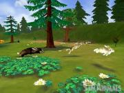 Sim Animals (SimAnimals) for NINTENDOWII to buy
