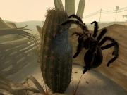Deadly Creatures for NINTENDOWII to buy