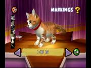 Purr Pals for NINTENDOWII to buy