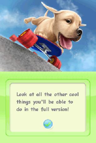 Petz Dog Superstar Nintendo DS