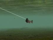 Reel Fishing Anglers Dream for NINTENDOWII to buy