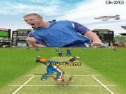 Freddie Flintoffs Power Play Cricket for NINTENDODS to buy