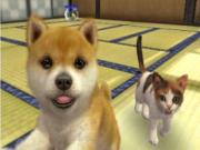 Nintendogs And Cats French Bulldog Edition (3DS) for NINTENDO3DS to buy