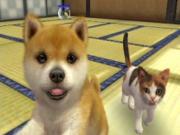 Nintendogs And Cats Toy Poodle Edition (3DS) for NINTENDO3DS to buy