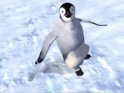 Happy Feet for NINTENDOWII to buy