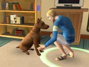 The Sims 2 Pets for PSP to buy