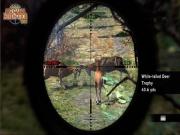 Cabelas Big Game Hunter 2012 for NINTENDOWII to buy