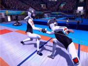 Athletics Tournament Summer Challenge for NINTENDOWII to buy