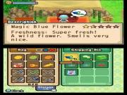 Harvest Moon The Tale Of Two Towns (3DS) for NINTENDO3DS to buy