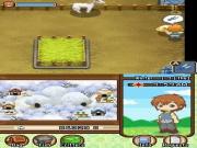 Harvest Moon The Tale Of Two Towns for NINTENDODS to buy