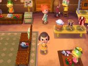Animal Crossing New Leaf for NINTENDO3DS to buy