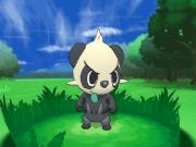 Pokemon X for NINTENDO3DS to buy