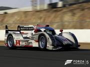 Forza Motorsport 5 for XBOXONE to buy