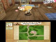 Hometown Story for NINTENDO3DS to buy