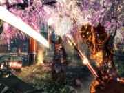 Shadow Warrior for PS4 to buy