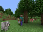 Minecraft for XBOXONE to buy