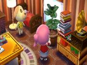 Animal Crossing Happy Home Designer               for NINTENDO3DS to buy