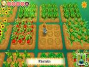  Story of Seasons for NINTENDO3DS to buy