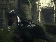 The Last Guardian for PS4 to buy