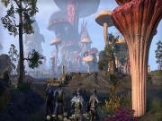 The Elder Scrolls Online Morrowind for PS4 to buy