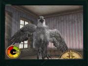 Harry Potter and the Order of the Phoenix for NINTENDODS to buy