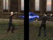 Harry Potter and the Order of the Phoenix for NINTENDODS to buy