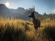 The Hunter Call of the Wild for PS4 to buy