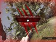 Deer Hunter Reloaded for PS4 to buy