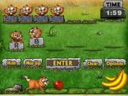 Pogo Island for NINTENDODS to buy