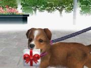 Nintendogs Chihuahua and Friends for NINTENDODS to buy