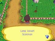 Animal Crossing Wild World for NINTENDODS to buy